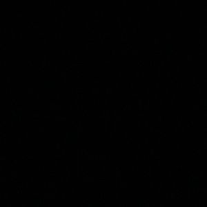 Meet your Posher, Dennis